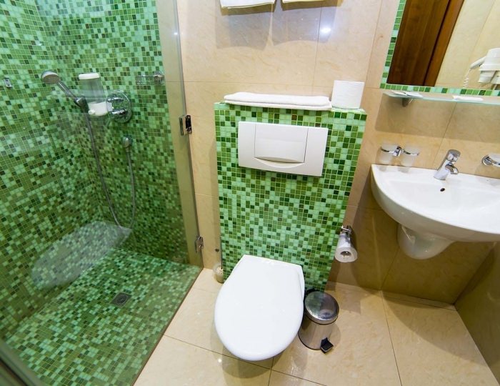 «DeLuxe» одноместный - Парк-отель «Покровское» (бывш. «Царский лес»)