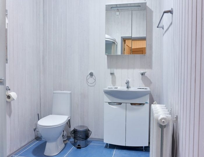 Коттедж - DeLuxe 6 мест - Парк-отель «Покровское» (бывш. «Царский лес»)