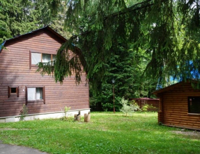 Коттедж - DeLuxe 8 мест - Парк-отель «Покровское» (бывш. «Царский лес»)