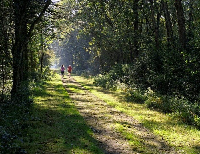 Беговые маршруты - Парк-отель «Покровское» (бывш. «Царский лес»)