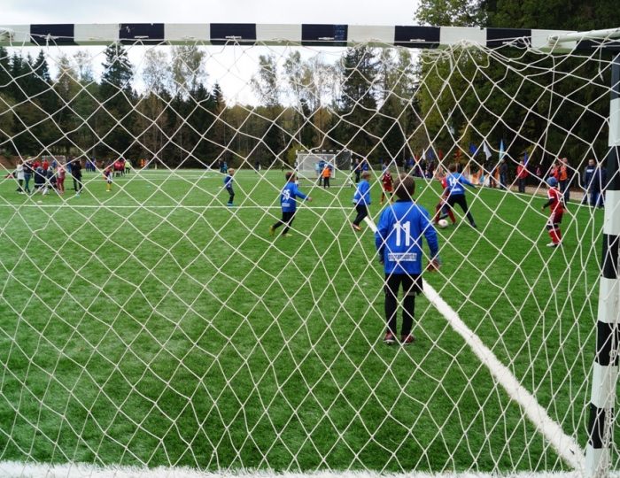 Футбольные стадионы - Парк-отель «Покровское» (бывш. «Царский лес»)