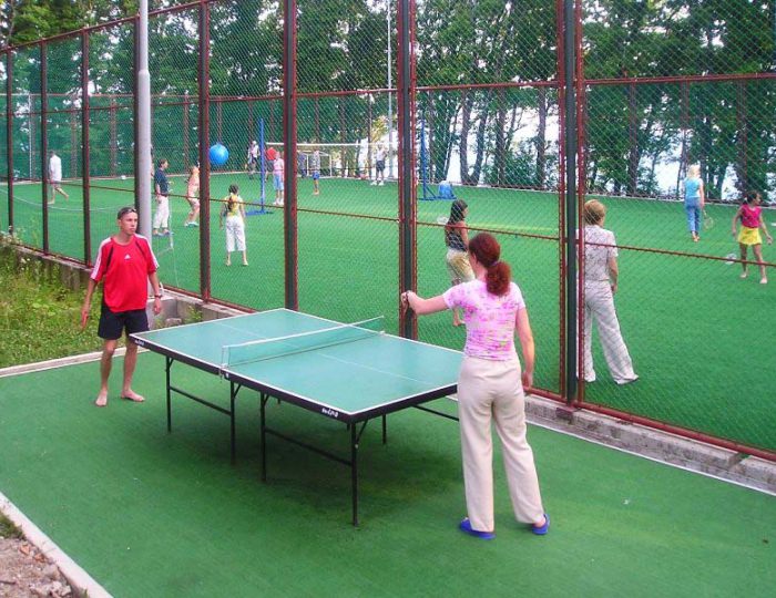 Настольный теннис - Парк-отель «Покровское» (бывш. «Царский лес»)
